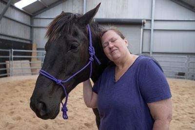 ‘This saved my life’: the emotional alchemy bonding traumatised veterans and damaged racehorses