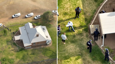 Sydney Man Arrested After Bones Police Believe To Be Human Found In Tree Trunk