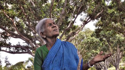 Centenarian Saalumarada Thimmakka plans another plantation drive near Bengaluru
