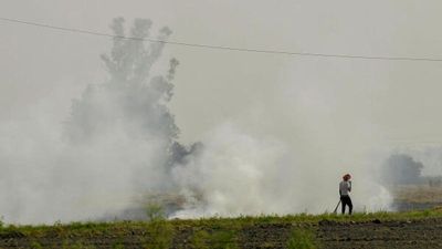 560 cases of stubble burning reported in Ludhiana so far this year