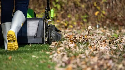 How to perfectly time the final mow before winter to maintain a healthy lawn