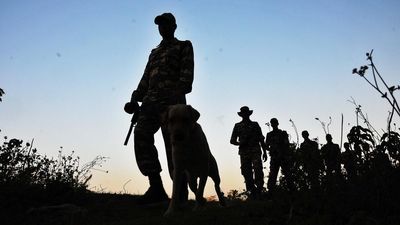 India-Nepal border forces' talks to begin in Delhi tomorrow