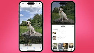 How to use Visual Look Up on iPhone: identify pets, plants, laundry tags, and more
