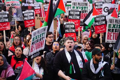 Deputy PM voices ‘grave concerns’ over pro-Palestinian march on Armistice Day