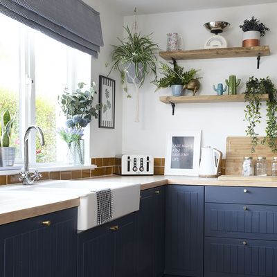 Kitchen plant ideas – the best houseplants and how to style them in a kitchen