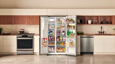 How to choose a refrigerator this Black Friday