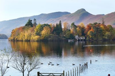 In Pictures: Nature puts on a show with sunshine highlighting autumn colours