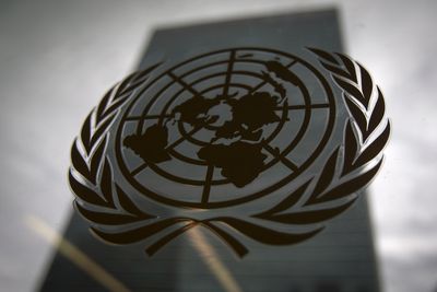 UN agency, NGO heads make rare joint plea for Israel-Hamas ceasefire