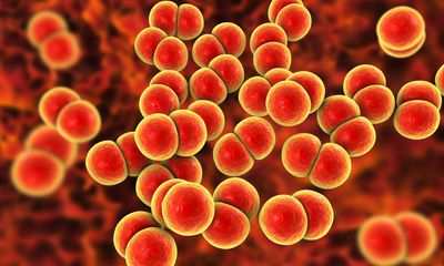 Tampon that tests for STIs created by British startup