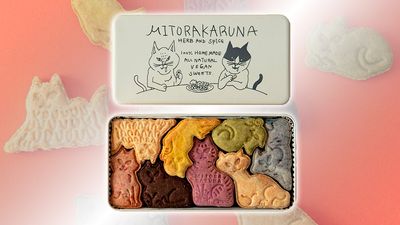 These adorable Japanese cat cookies are too precious for words