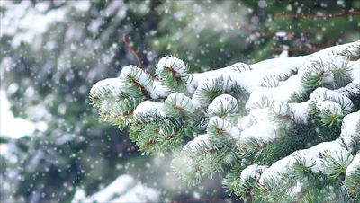 What is the coldest Christmas Day in the UK on record?