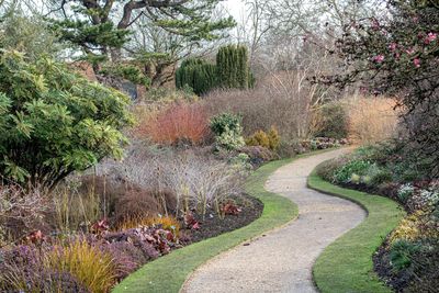 5 "overdone" landscaping ideas designers always see in winter gardens – and what to do instead