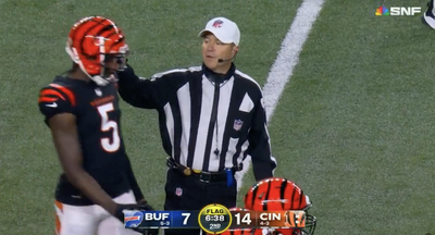 NFL Ref Had Priceless Reaction After Hitting a Bengals Player by Mistake