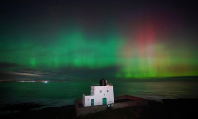 Winter to bring best northern lights displays for 20 years, scientists say