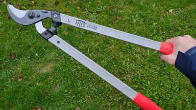 Felco 211-60 review: powerful tree loppers for the backyard