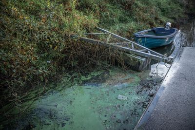 Worst-ever contamination of Ireland’s largest lake: What’s to blame?