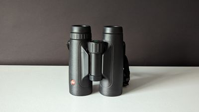 Leica Trinovid 10x42 HD review