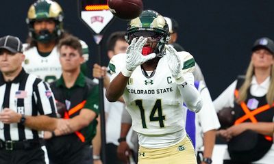 Safe and Effective: CBD Dosage Calculator for Canine Wellness