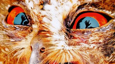 Take your photos to the next level with Huawei's incredible XMAGE image