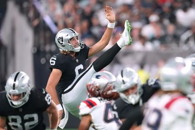 Raiders P A.J. Cole sets NFL record in Week 9 win