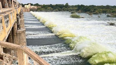 Flood alert issued to 34 villages following release of water from Sathanur dam in Tiruvannamalai