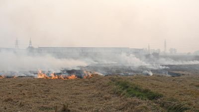Air pollution | SC orders Delhi and neighbouring States to stop stubble burning immediately