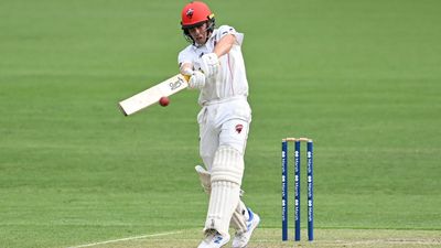 Redbacks chase result after McSweeney ton against Bulls