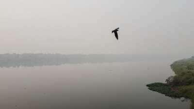 Pollution: Physical classes up to Class 9 suspended in schools across Noida, Greater Noida