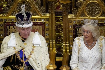 'Play act' State Opening of Parliament is a 'cover up' for the royals