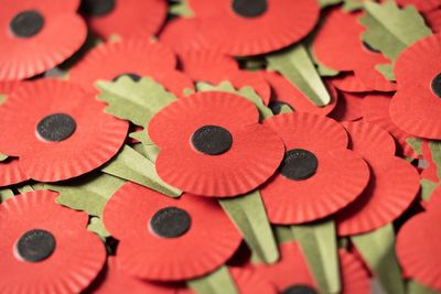 Alleged assault of poppy-selling veteran during anti-war rally investigated