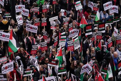 Sunak: Armistice Day Palestinian protest ‘provocative and disrespectful’