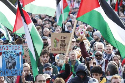 Pressure on Met to ban ‘provocative’ Armistice Day pro-Palestine march