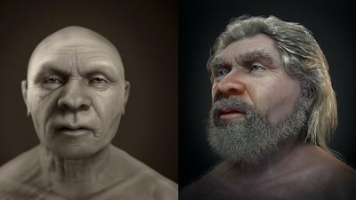 Weathered face of 'old man' Neanderthal comes to life in amazing new facial reconstruction