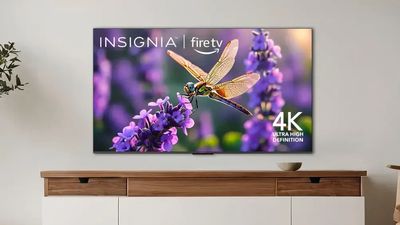 Should you buy an Insignia TV? Are they any good?