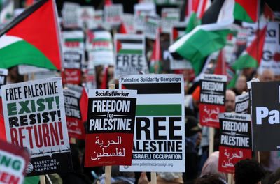 Met says pro-Palestine Armistice Day demo to go ahead as ‘law gives no absolute power’ for ban