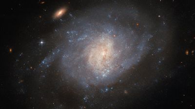 Hubble Space Telescope sees supernova wreckage in a hazy galaxy (image)