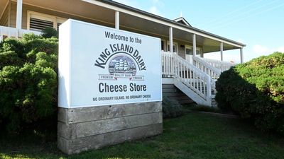 Award-winning cheese manufacturer could be sold