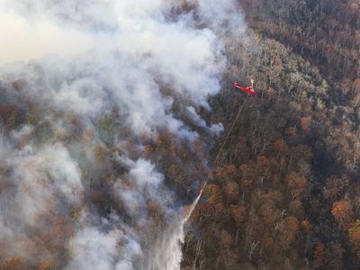 Virginia's governor declares a state of emergency over wildfires