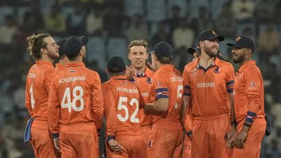 World Cup, ENG vs NED: Netherlands wary of taking on 'wounded buffalo' England