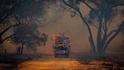 WA bans burning amid escalating bushfire risk