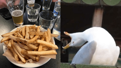 God Has Truly Forsaken Us Because A Bowl Of Chips Without Sauce Is Apparently $16 In Sydney