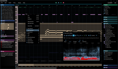 Hit'n'Mix says the new version of its RipX software is the world's "first AI DAW"