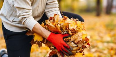 Want a healthier lawn? Instead of bagging fall leaves, take the lazy way out and get a more environmentally friendly yard