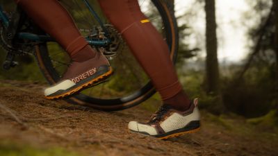 Is the Fizik Ergolace GTX MTB the ultimate waterproof mountain bike shoe?