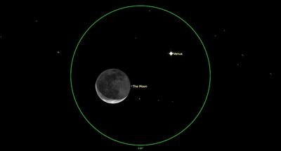 See bright Venus and the crescent moon light up the early morning sky on Nov. 9