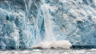 Alarming collapse of Greenland ice shelves sparks warning of sea level rise