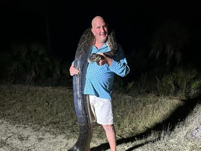Snake hunters catch ‘monster’ python in Florida