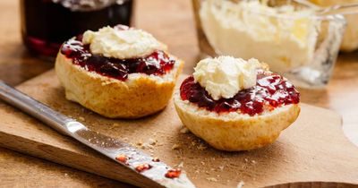 Could you be Canberra's King or Queen of the Scone?