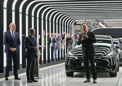 Musk must take steps to stop Tesla's stock slide, key analyst says