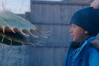 John Lewis Christmas advert 2023 review: Snapper the Venus flytrap is too cute to resist